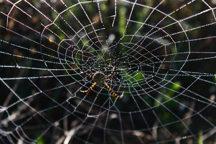 User-Centric Design: How to Create Intuitive Web Applications