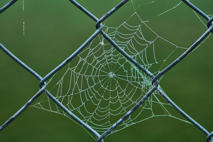 Securing Your Web App: Best Practices for Developers